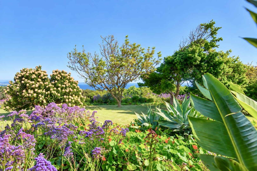 4 Bedroom Property for Sale in Westcliff Western Cape